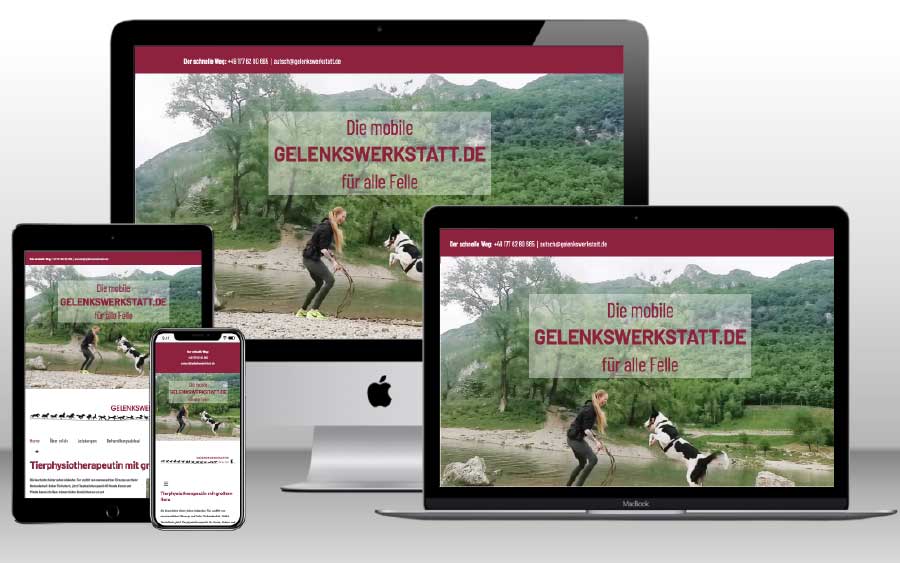 Günstiges Webdesign für Kundenwebsite mit Tierphysiotherapie in München Günstiges Webdesign für Kundenwebsite mit Tierphysiotherapie in München